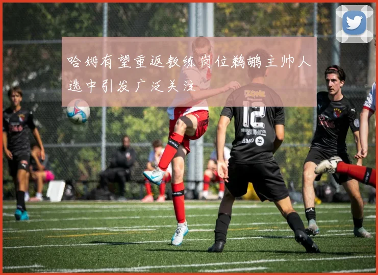 哈姆有望重返教练岗位鹈鹕主帅人选中引发广泛关注