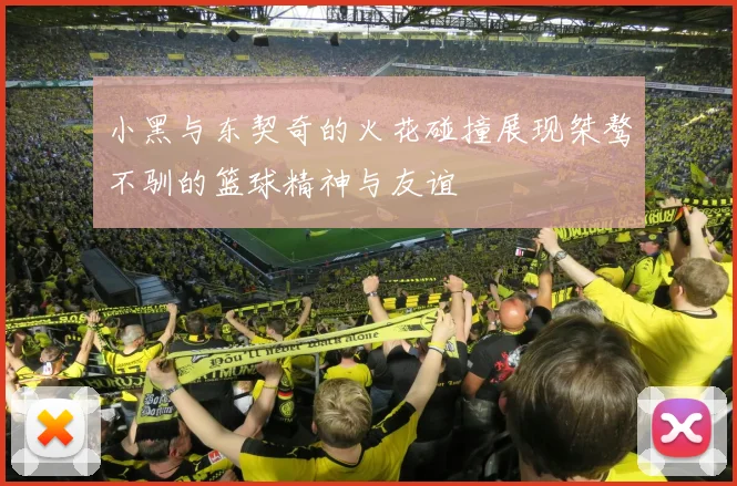 小黑与东契奇的火花碰撞展现桀骜不驯的篮球精神与友谊