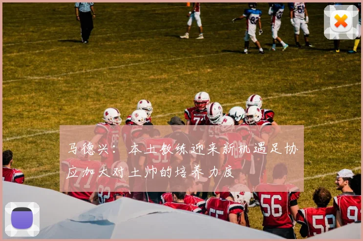 马德兴：本土教练迎来新机遇足协应加大对土帅的培养力度