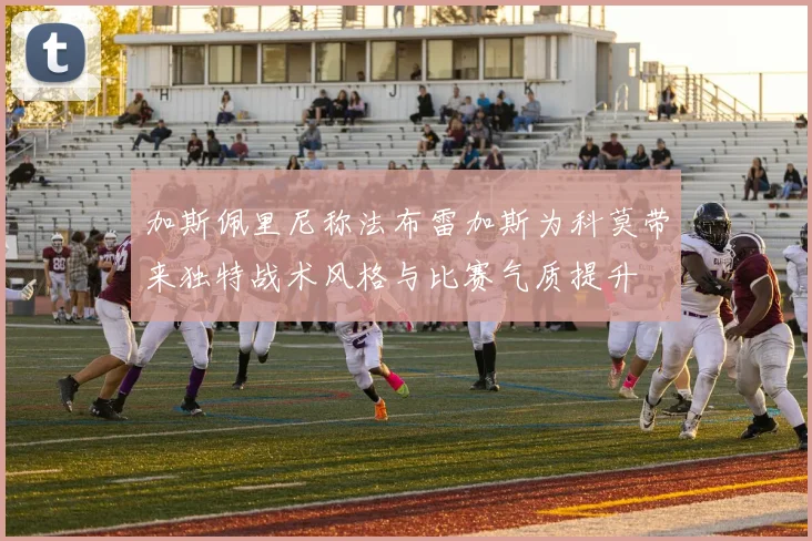 加斯佩里尼称法布雷加斯为科莫带来独特战术风格与比赛气质提升