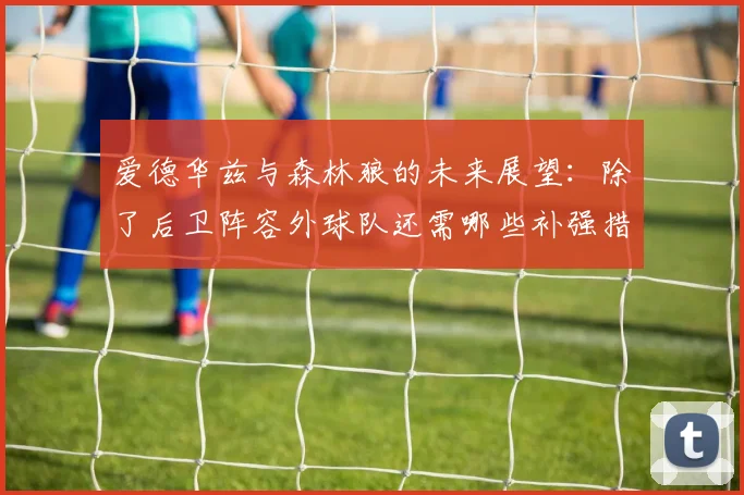爱德华兹与森林狼的未来展望：除了后卫阵容外球队还需哪些补强措施