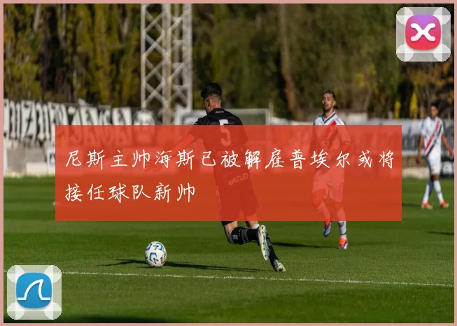 尼斯主帅海斯已被解雇普埃尔或将接任球队新帅